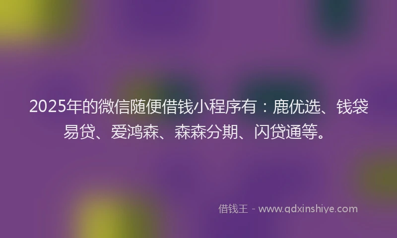 2025年的微信随便借钱小程序有：鹿优选、钱袋易贷、爱鸿森、森森分期、闪贷通等。