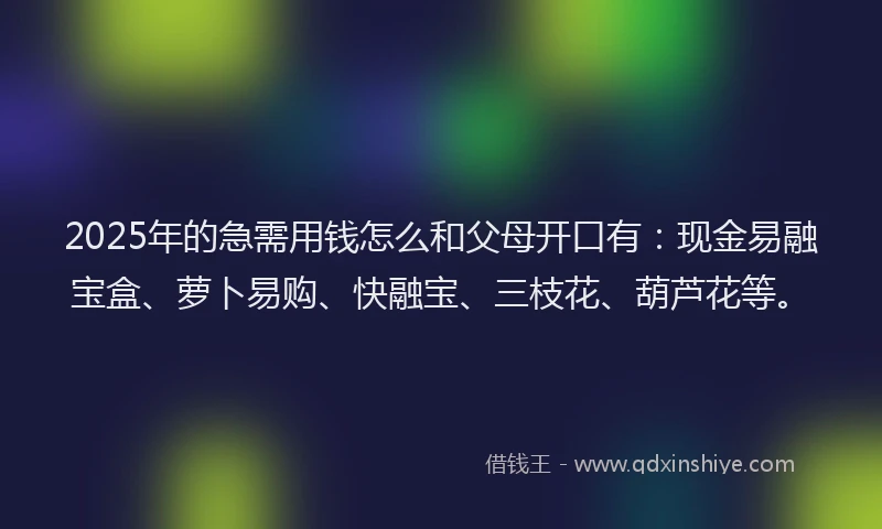 2025年的急需用钱怎么和父母开口有：现金易融宝盒、萝卜易购、快融宝、三枝花、葫芦花等。