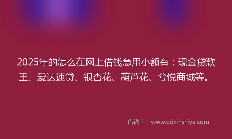 2025年的怎么在网上借钱急用小额有：现金贷款王、爱达速贷、银杏花、葫芦花、兮悦商城等。