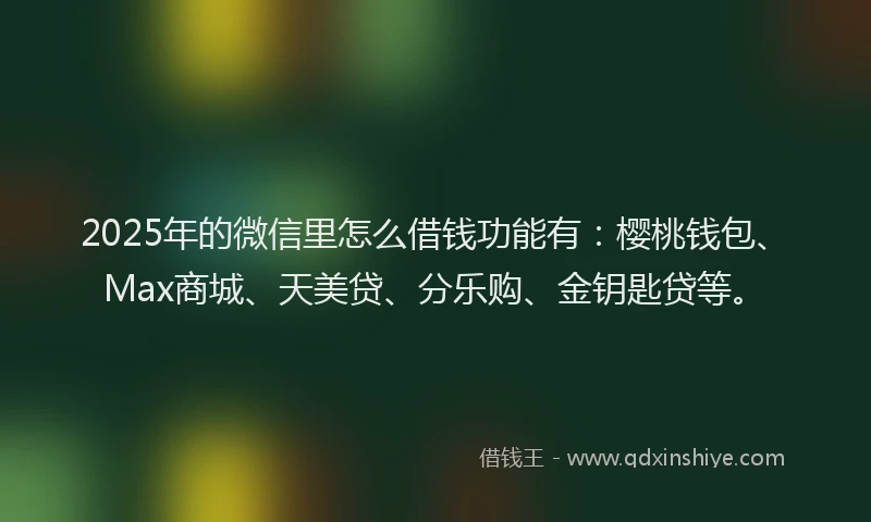 2025年的微信里怎么借钱功能有：樱桃钱包、Max商城、天美贷、分乐购、金钥匙贷等。