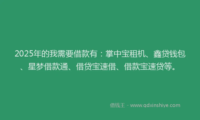 2025年的我需要借款有：掌中宝租机、鑫贷钱包、星梦借款通、借贷宝速借、借款宝速贷等。