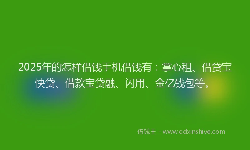 2025年的怎样借钱手机借钱有：掌心租、借贷宝快贷、借款宝贷融、闪用、金亿钱包等。