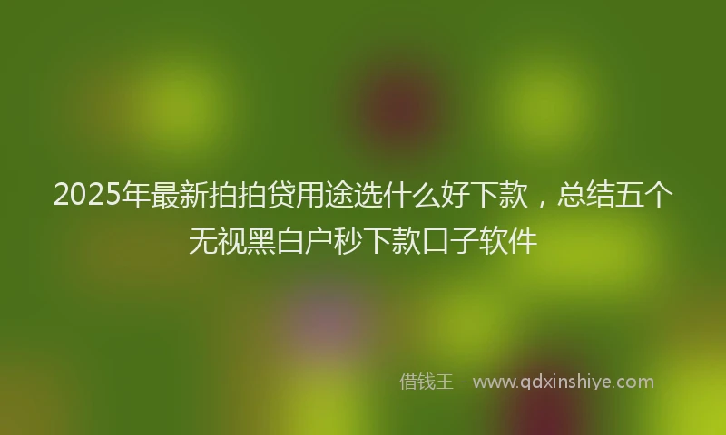 2025年最新拍拍贷用途选什么好下款，总结五个无视黑白户秒下款口子软件