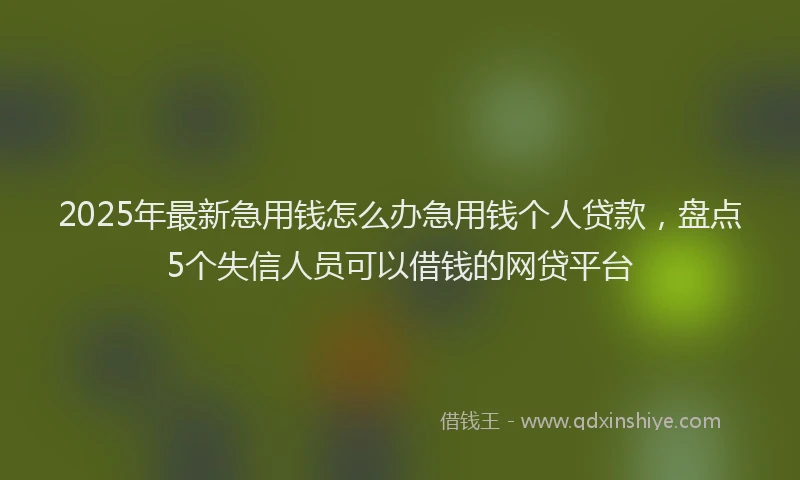 2025年最新急用钱怎么办急用钱个人贷款，盘点5个失信人员可以借钱的网贷平台