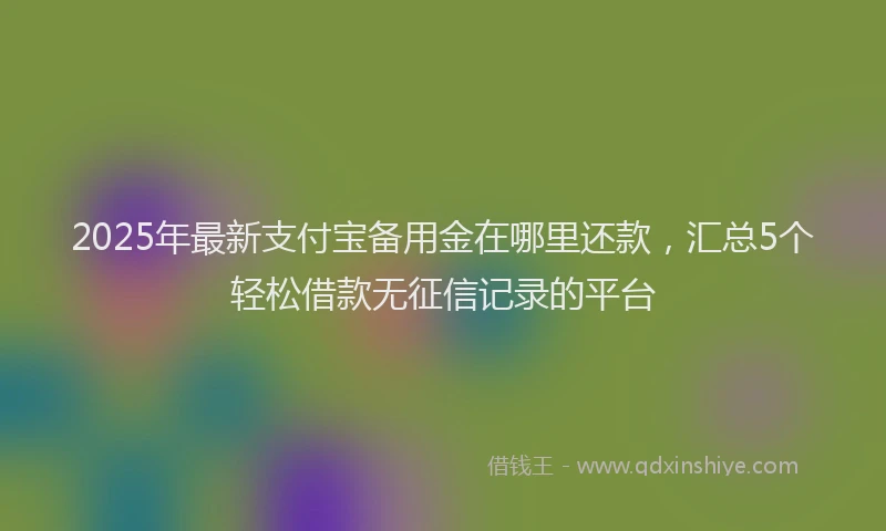 2025年最新支付宝备用金在哪里还款，汇总5个轻松借款无征信记录的平台