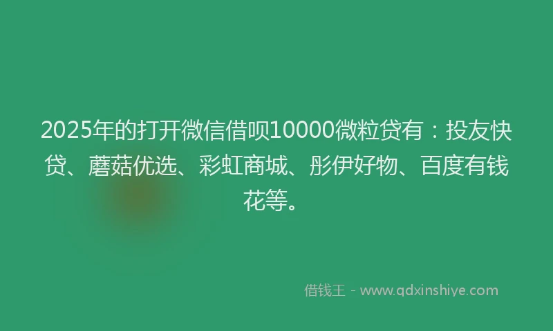 2025年的打开微信借呗10000微粒贷有：投友快贷、蘑菇优选、彩虹商城、彤伊好物、百度有钱花等。