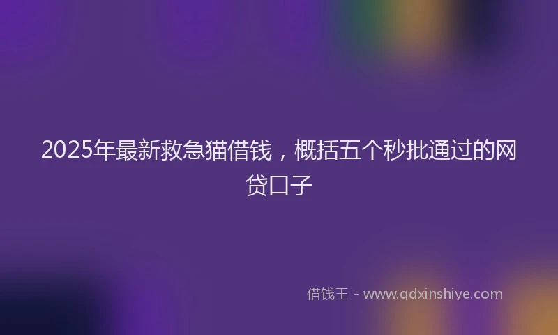 2025年最新救急猫借钱，概括五个秒批通过的网贷口子