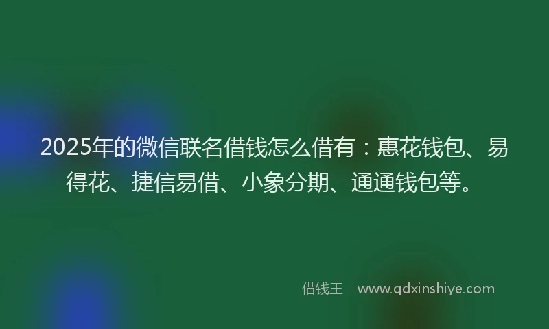 2025年的微信联名借钱怎么借有：惠花钱包、易得花、捷信易借、小象分期、通通钱包等。