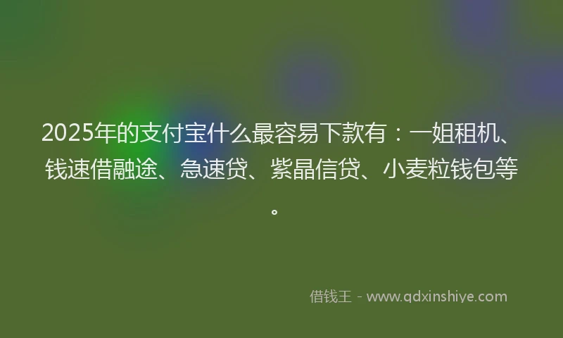 2025年的支付宝什么最容易下款有：一姐租机、钱速借融途、急速贷、紫晶信贷、小麦粒钱包等。