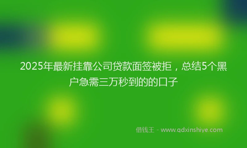 2025年最新挂靠公司贷款面签被拒，总结5个黑户急需三万秒到的的口子