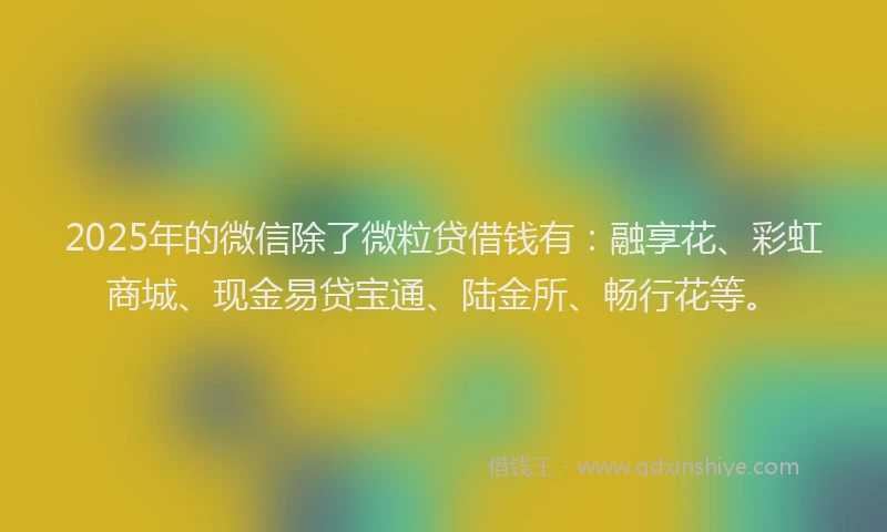 2025年的微信除了微粒贷借钱有：融享花、彩虹商城、现金易贷宝通、陆金所、畅行花等。