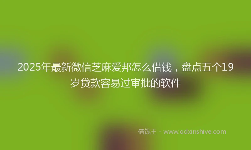 2025年最新微信芝麻爱邦怎么借钱，盘点五个19岁贷款容易过审批的软件