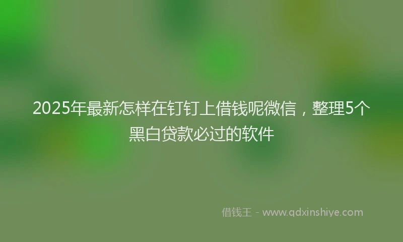 2025年最新怎样在钉钉上借钱呢微信，整理5个黑白贷款必过的软件
