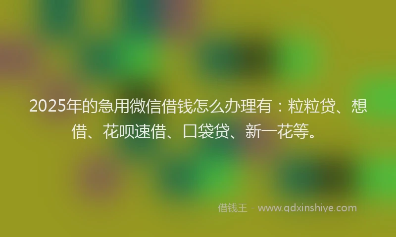 2025年的急用微信借钱怎么办理有：粒粒贷、想借、花呗速借、口袋贷、新一花等。