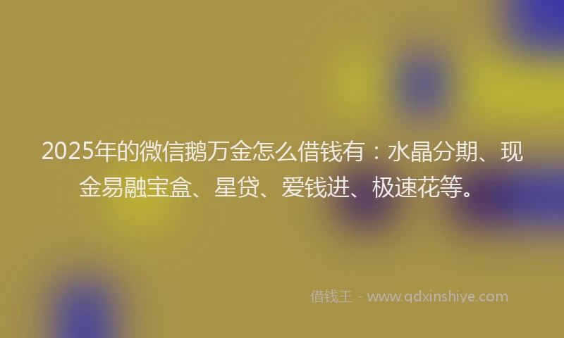 2025年的微信鹅万金怎么借钱有：水晶分期、现金易融宝盒、星贷、爱钱进、极速花等。