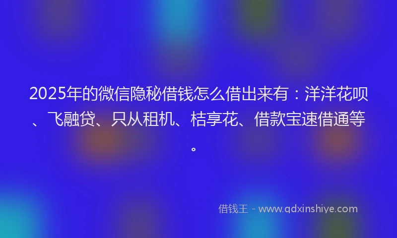 2025年的微信隐秘借钱怎么借出来有：洋洋花呗、飞融贷、只从租机、桔享花、借款宝速借通等。