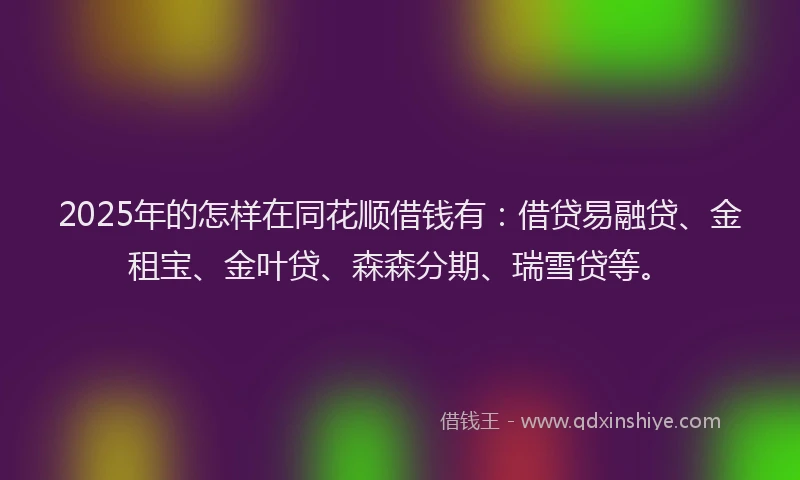 2025年的怎样在同花顺借钱有：借贷易融贷、金租宝、金叶贷、森森分期、瑞雪贷等。
