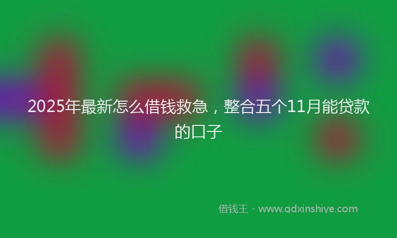 2025年最新怎么借钱救急，整合五个11月能贷款的口子