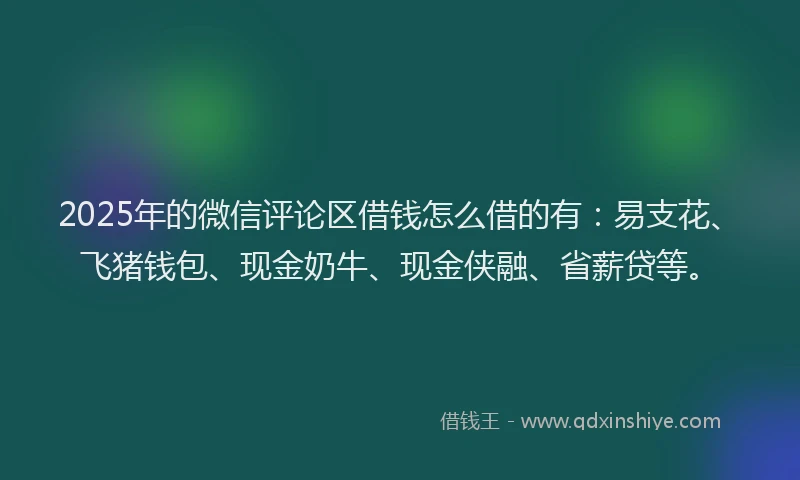 2025年的微信评论区借钱怎么借的有：易支花、飞猪钱包、现金奶牛、现金侠融、省薪贷等。