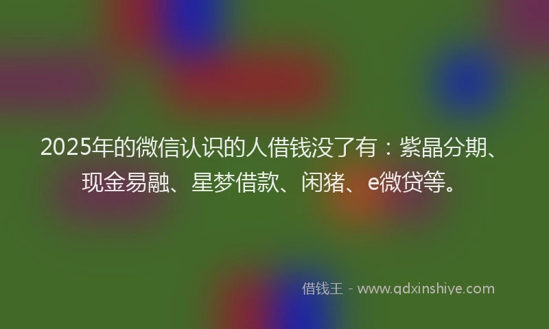 2025年的微信认识的人借钱没了有：紫晶分期、现金易融、星梦借款、闲猪、e微贷等。