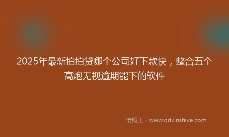 2025年最新拍拍贷哪个公司好下款快，整合五个高炮无视逾期能下的软件