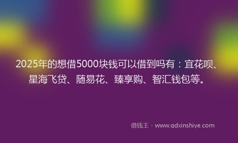 2025年的想借5000块钱可以借到吗有：宜花呗、星海飞贷、随易花、臻享购、智汇钱包等。