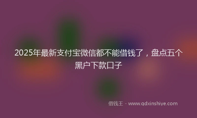 2025年最新支付宝微信都不能借钱了，盘点五个黑户下款口子