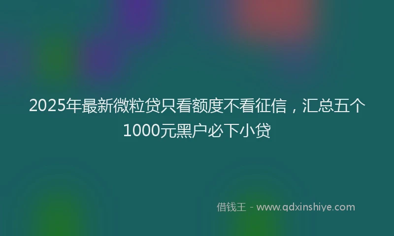 2025年最新微粒贷只看额度不看征信，汇总五个1000元黑户必下小贷