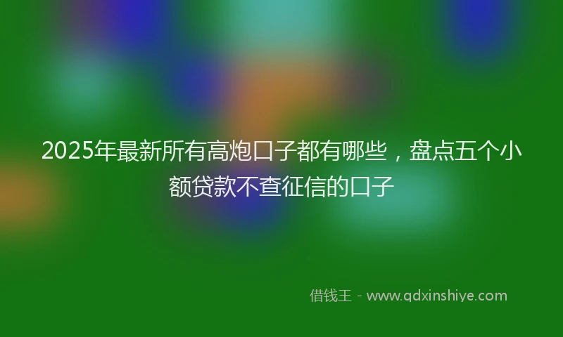 2025年最新所有高炮口子都有哪些，盘点五个小额贷款不查征信的口子