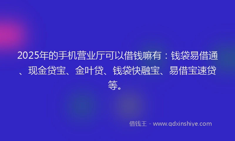2025年的手机营业厅可以借钱嘛有：钱袋易借通、现金贷宝、金叶贷、钱袋快融宝、易借宝速贷等。