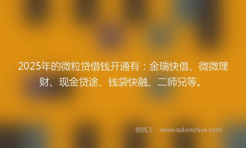 2025年的微粒贷借钱开通有：金瑞快借、微微理财、现金贷途、钱袋快融、二师兄等。