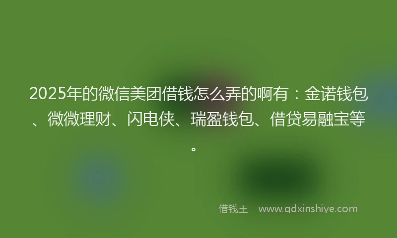 2025年的微信美团借钱怎么弄的啊有：金诺钱包、微微理财、闪电侠、瑞盈钱包、借贷易融宝等。