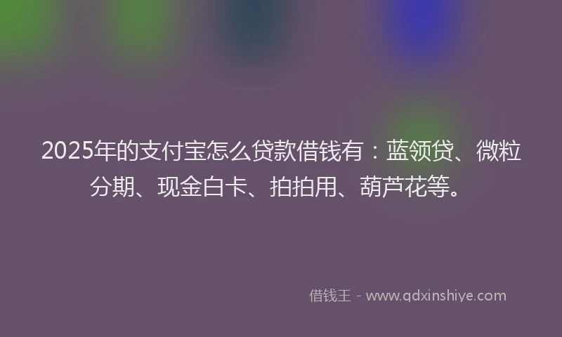 2025年的支付宝怎么贷款借钱有：蓝领贷、微粒分期、现金白卡、拍拍用、葫芦花等。