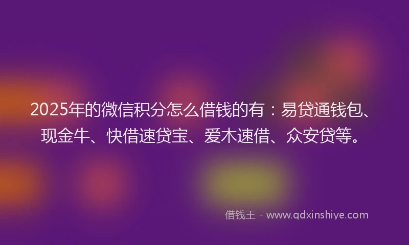 2025年的微信积分怎么借钱的有：易贷通钱包、现金牛、快借速贷宝、爱木速借、众安贷等。