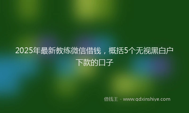 2025年最新教练微信借钱，概括5个无视黑白户下款的口子