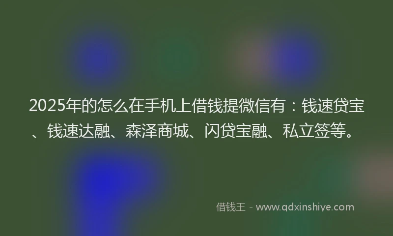2025年的怎么在手机上借钱提微信有：钱速贷宝、钱速达融、森泽商城、闪贷宝融、私立签等。