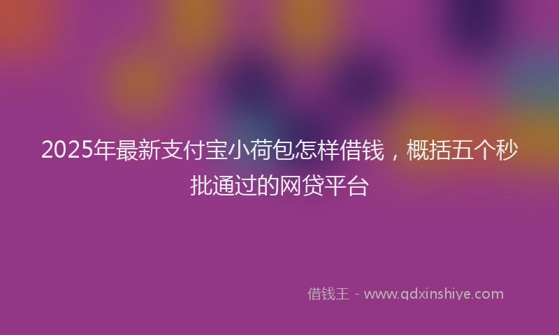 2025年最新支付宝小荷包怎样借钱，概括五个秒批通过的网贷平台