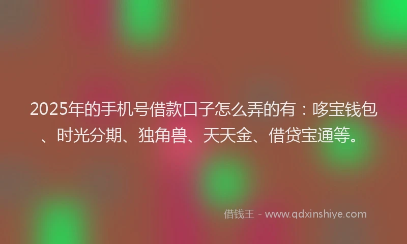 2025年的手机号借款口子怎么弄的有：哆宝钱包、时光分期、独角兽、天天金、借贷宝通等。
