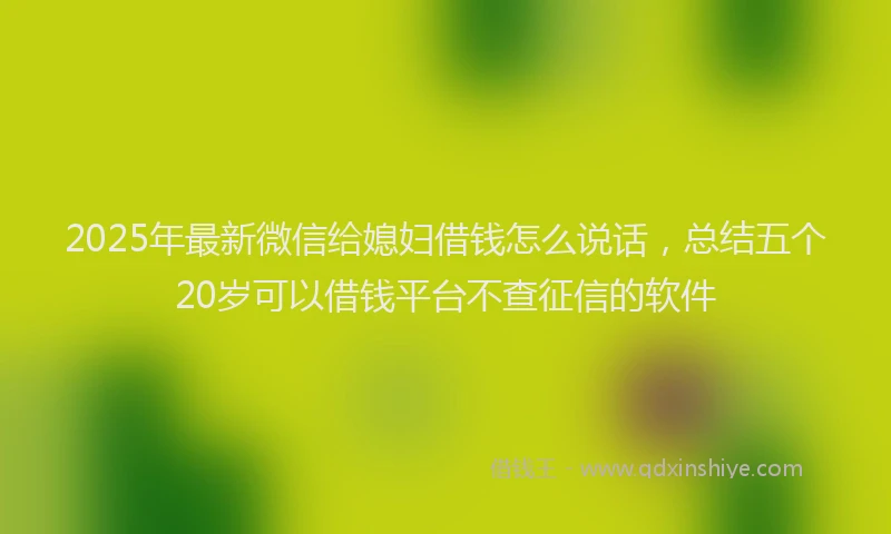 2025年最新微信给媳妇借钱怎么说话，总结五个20岁可以借钱平台不查征信的软件