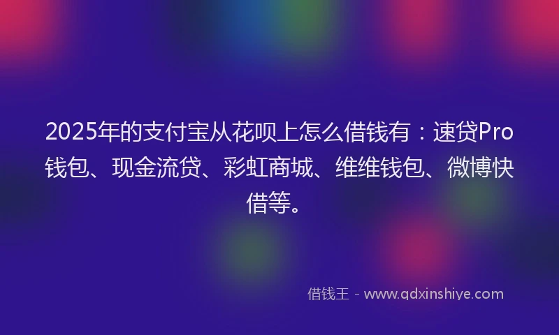 2025年的支付宝从花呗上怎么借钱有：速贷Pro钱包、现金流贷、彩虹商城、维维钱包、微博快借等。