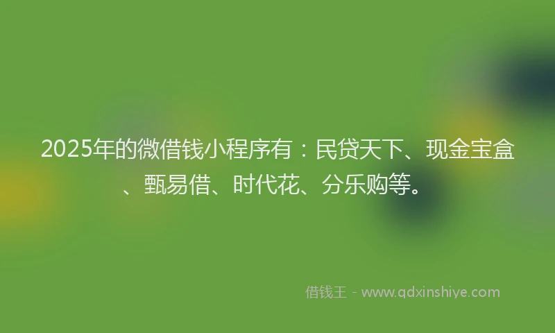 2025年的微借钱小程序有：民贷天下、现金宝盒、甄易借、时代花、分乐购等。