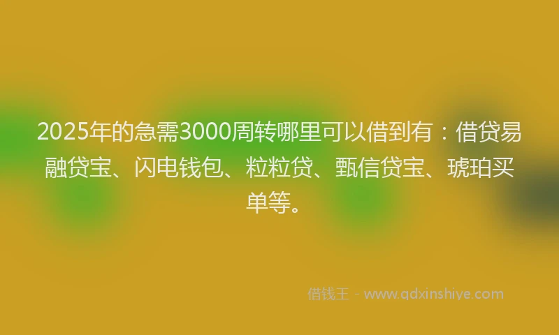 2025年的急需3000周转哪里可以借到有：借贷易融贷宝、闪电钱包、粒粒贷、甄信贷宝、琥珀买单等。