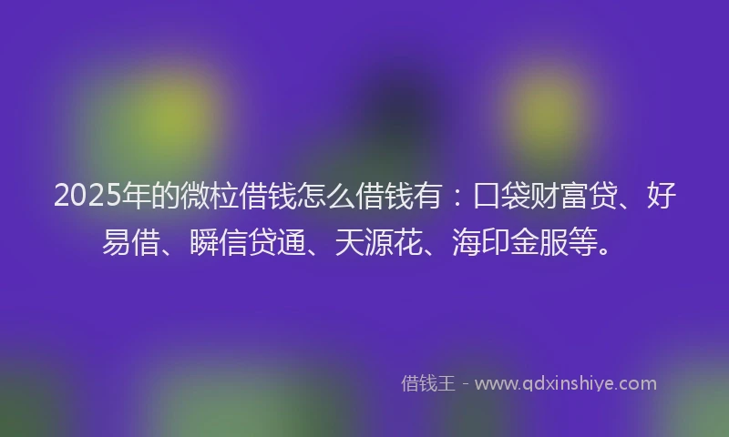 2025年的微柆借钱怎么借钱有：口袋财富贷、好易借、瞬信贷通、天源花、海印金服等。