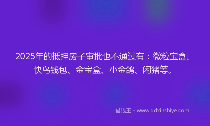 2025年的抵押房子审批也不通过有：微粒宝盒、快鸟钱包、金宝盒、小金鸽、闲猪等。