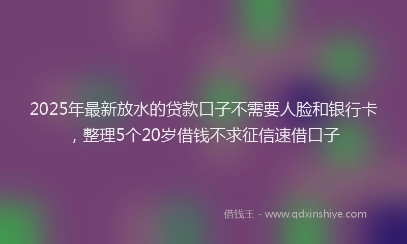 2025年最新放水的贷款口子不需要人脸和银行卡，整理5个20岁借钱不求征信速借口子