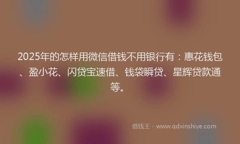 2025年的怎样用微信借钱不用银行有：惠花钱包、盈小花、闪贷宝速借、钱袋瞬贷、星辉贷款通等。