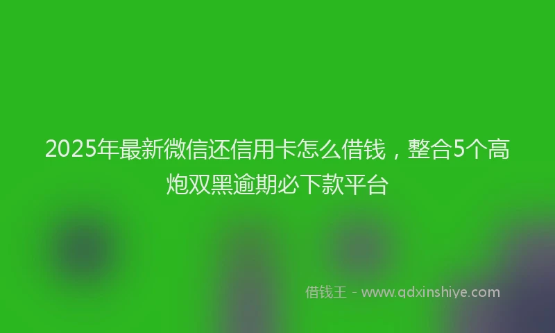2025年最新微信还信用卡怎么借钱，整合5个高炮双黑逾期必下款平台