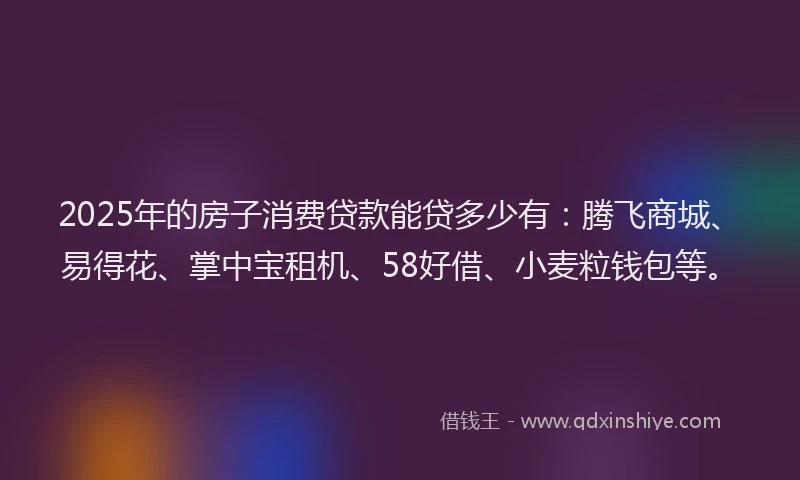 2025年的房子消费贷款能贷多少有：腾飞商城、易得花、掌中宝租机、58好借、小麦粒钱包等。