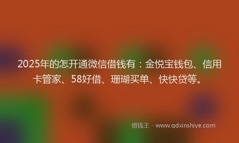 2025年的怎开通微信借钱有：金悦宝钱包、信用卡管家、58好借、珊瑚买单、快快贷等。