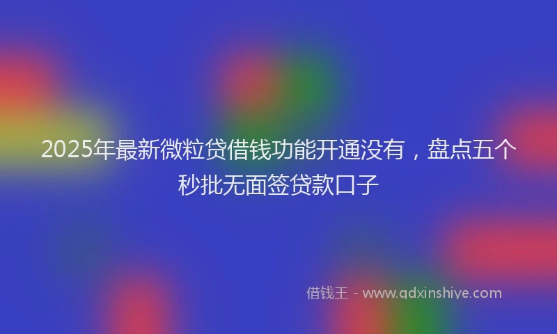 2025年最新微粒贷借钱功能开通没有，盘点五个秒批无面签贷款口子